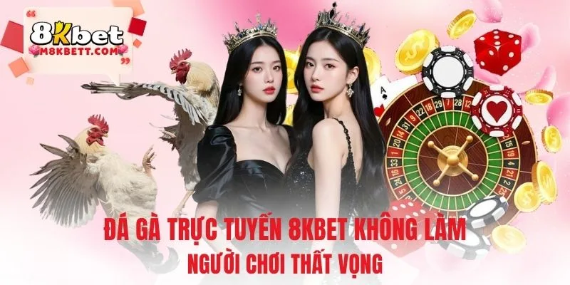 Đá gà trực tuyến 8KBET không làm người chơi thất vọng